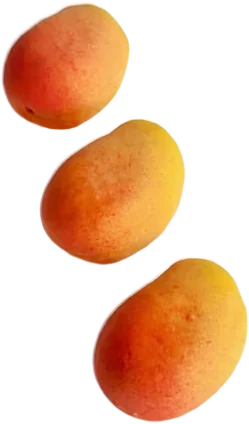 Корпусное пирожное Манго